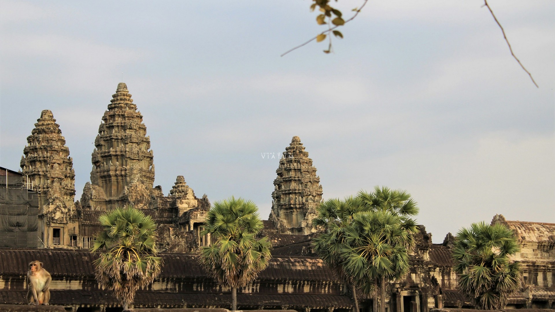 Siem Reap - Angkor Wat