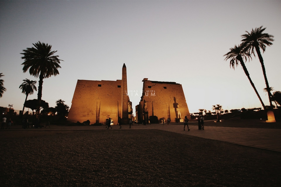 Visita Templo Luxor