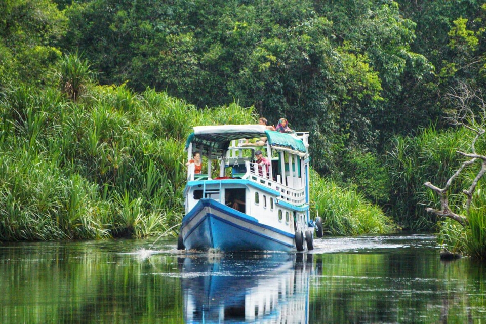 Visita en Klotok por Parque Nacional de Tanjung Puting