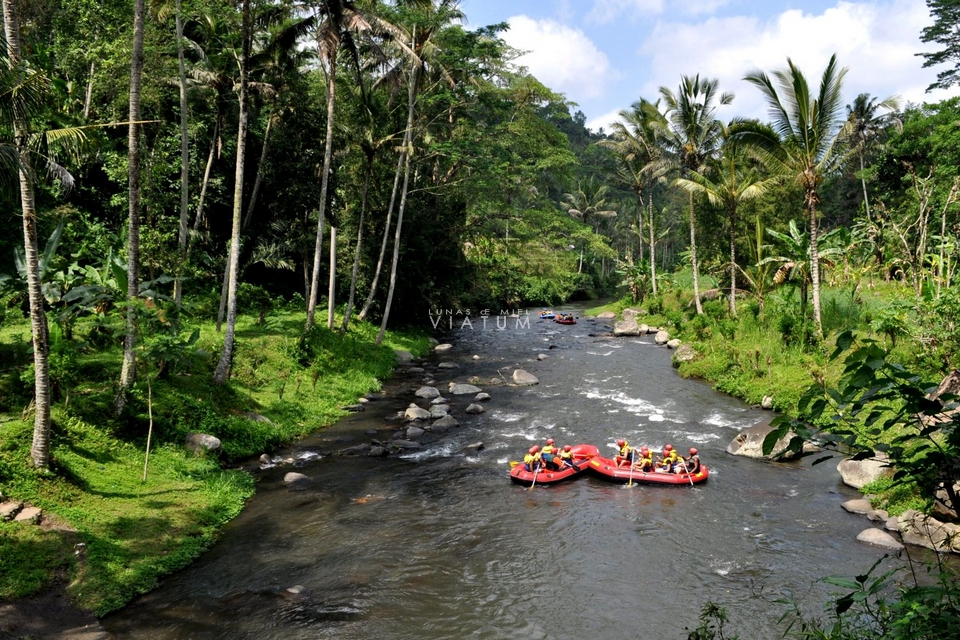 Rafting por Rio Ayung