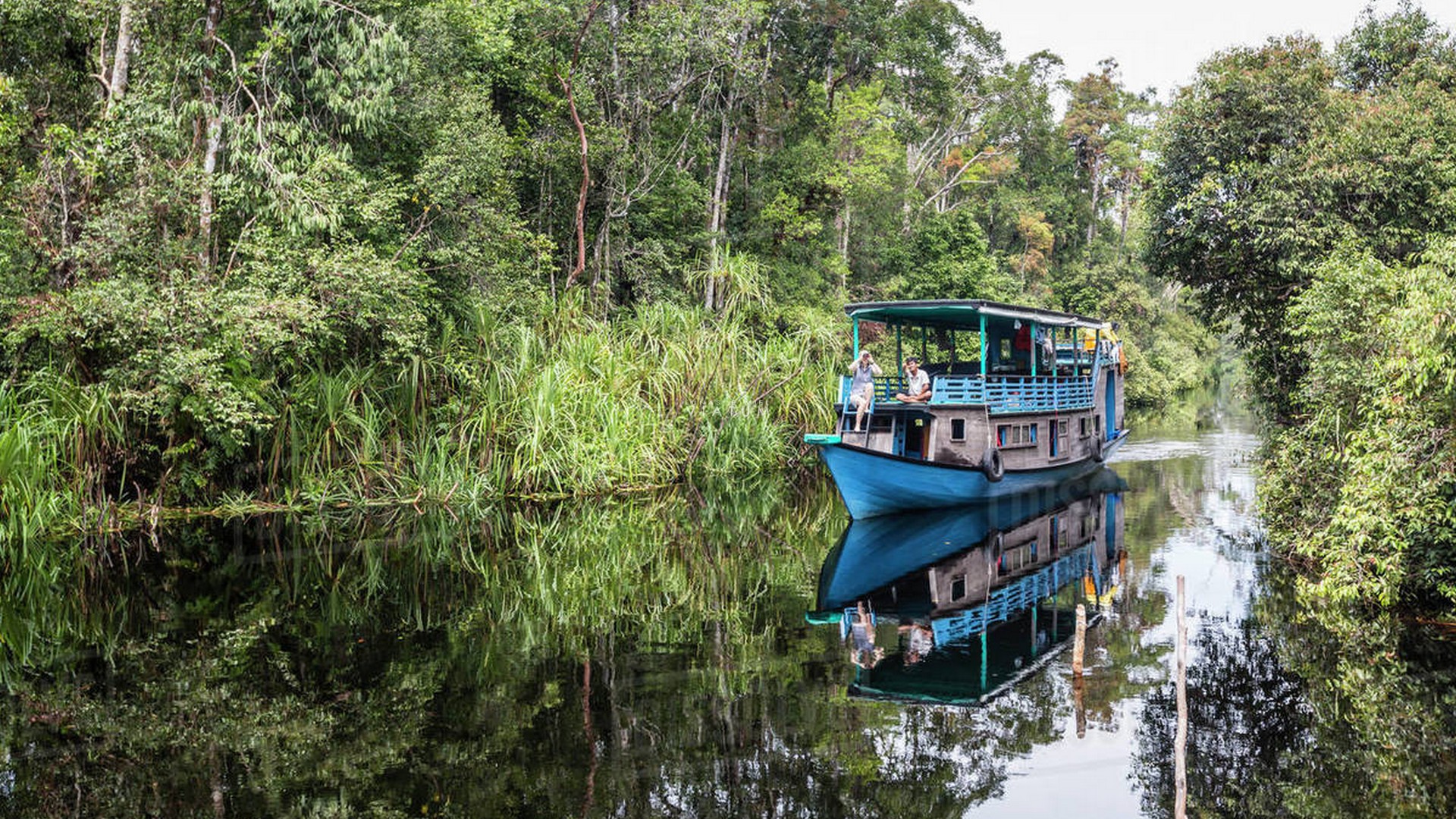 Dia 4: Borneo