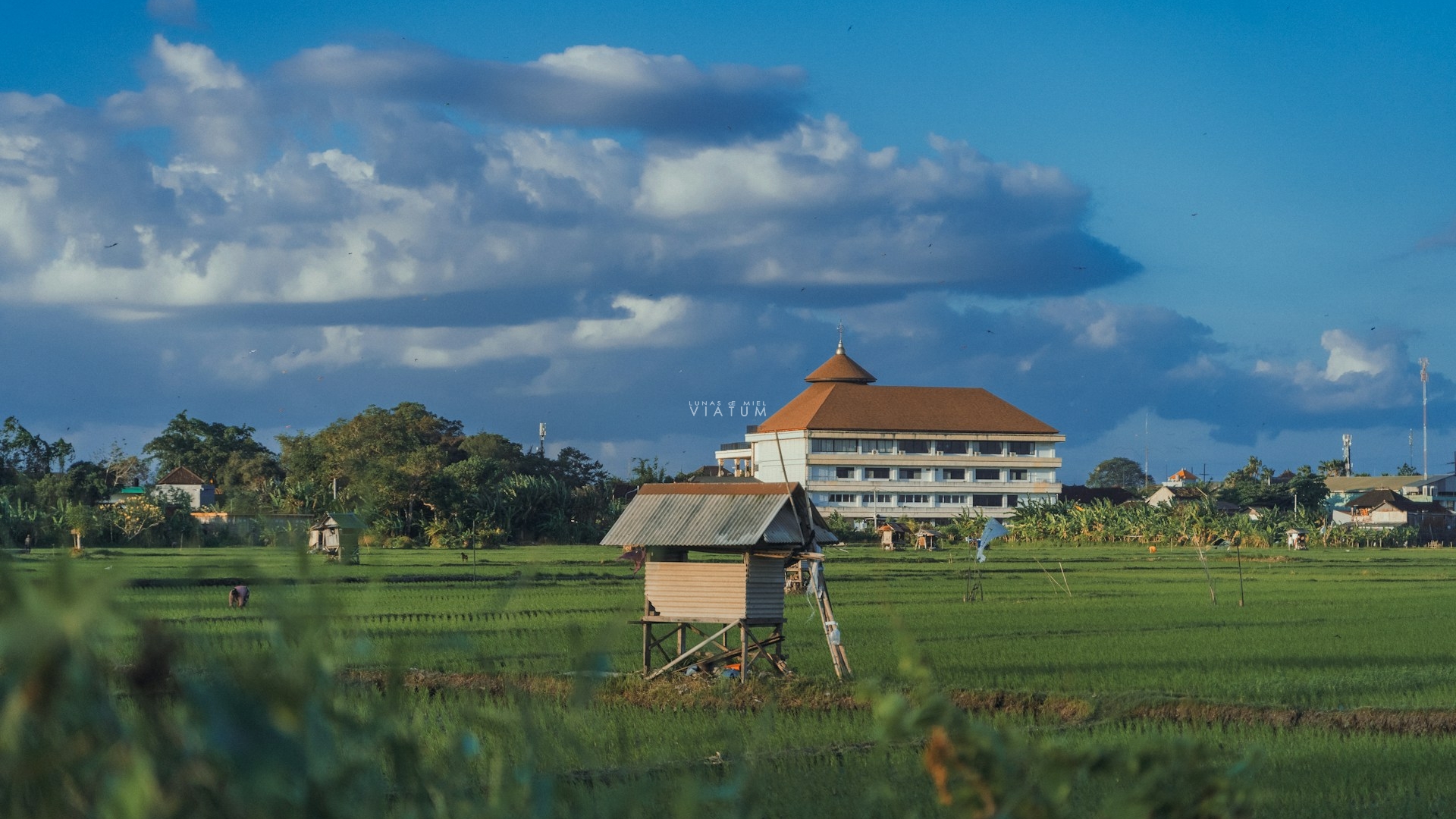 Dias 14 y 15: Sur de Bali 