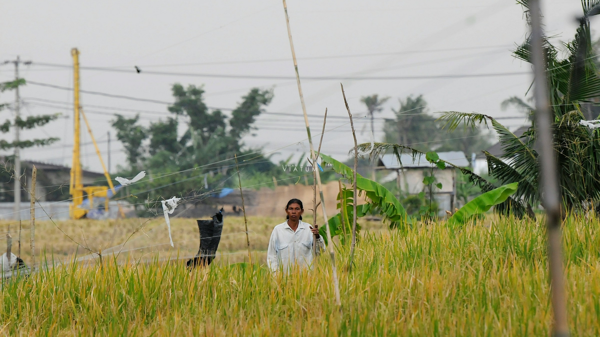 Dia 12: Ubud - Sur de Bali