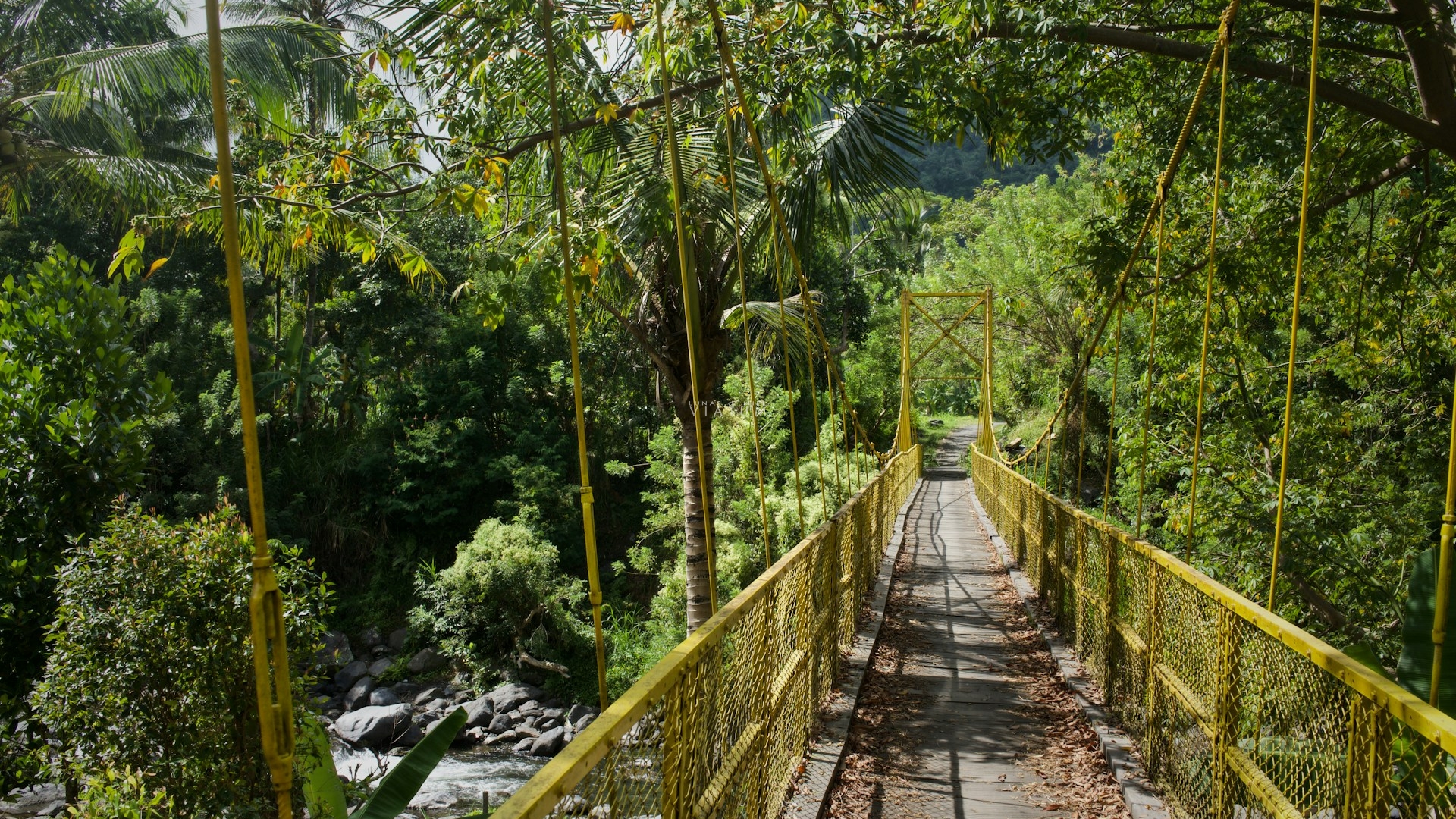 Dia 10: Ubud