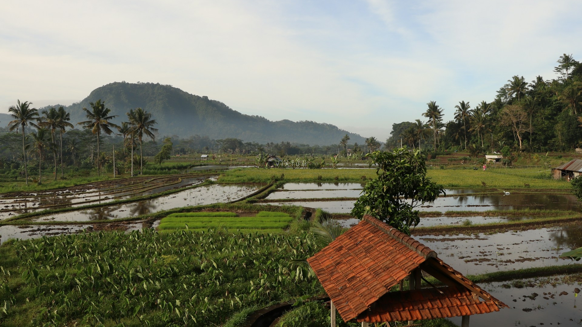 Dia 9: Ubud - Sidemen