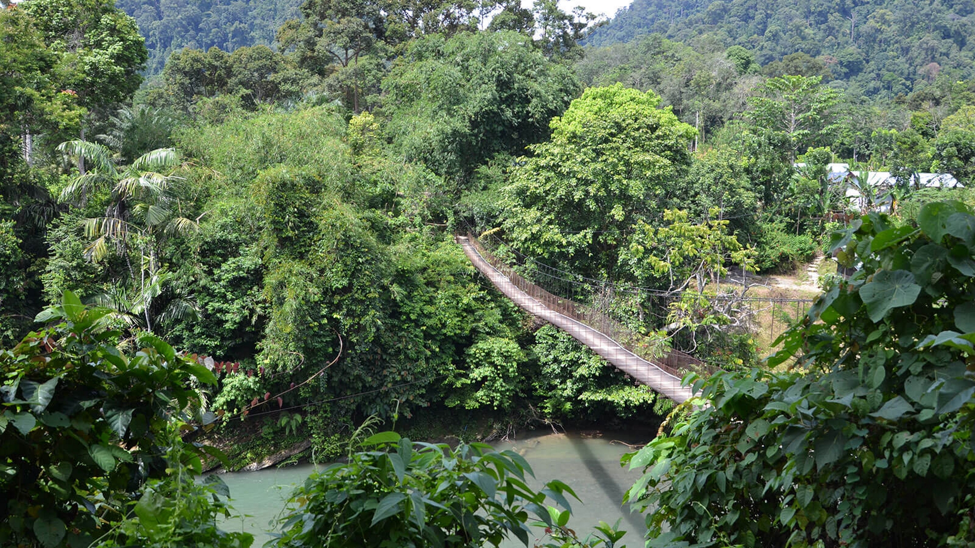 Dia 2: Medan - Tangkahan 