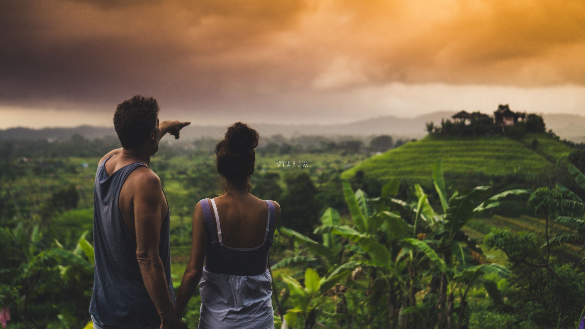 Dia 9: Bromo - Ubud