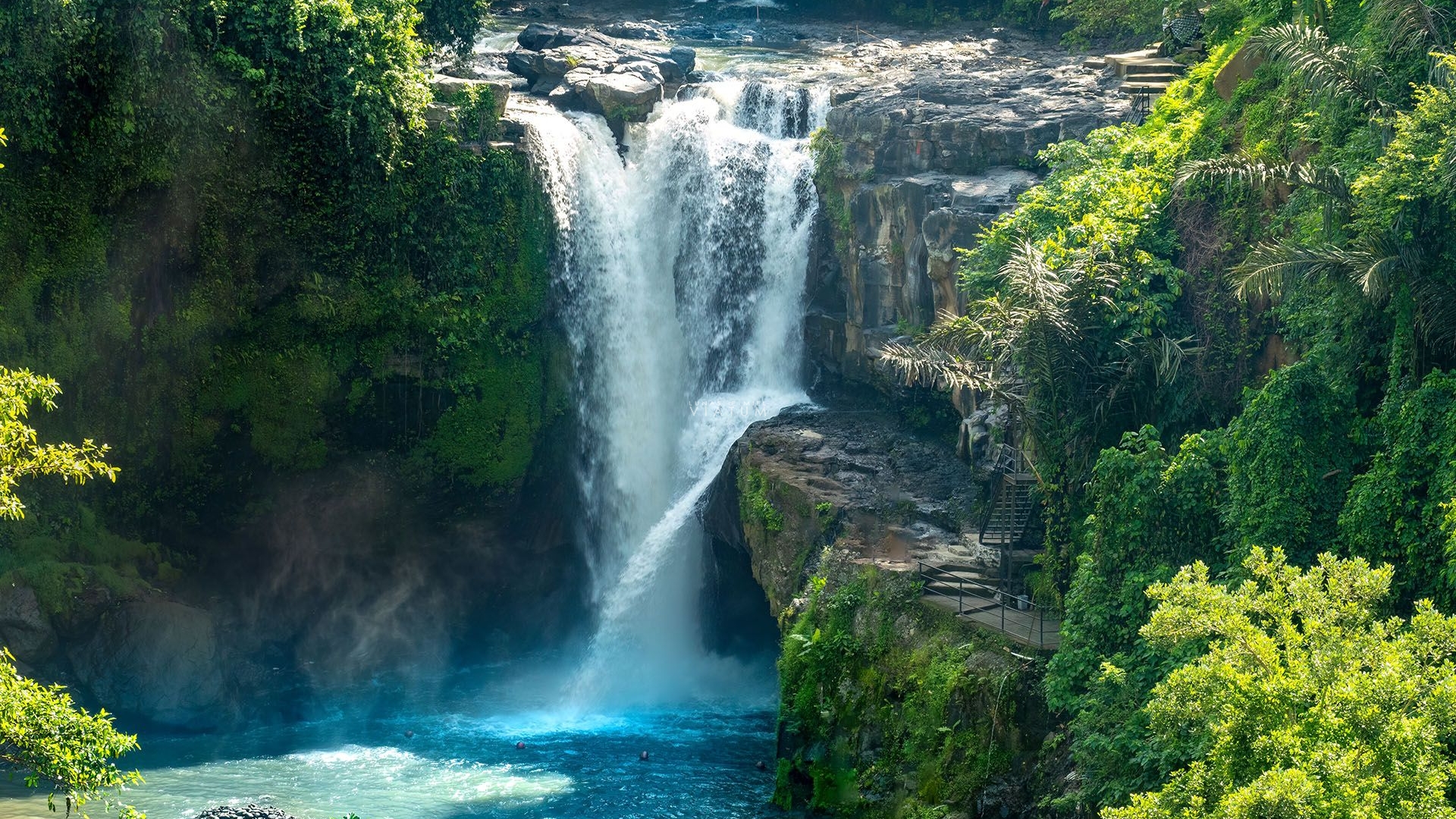 Dia 8: Ubud