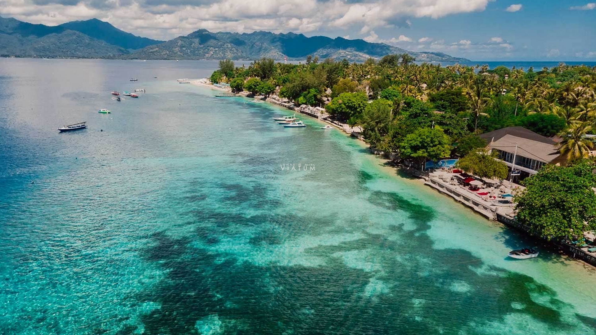 Dia 12: Ubud - Gili Air