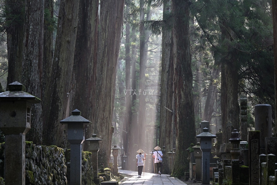 Visita de la montaña sagrada Koyasan