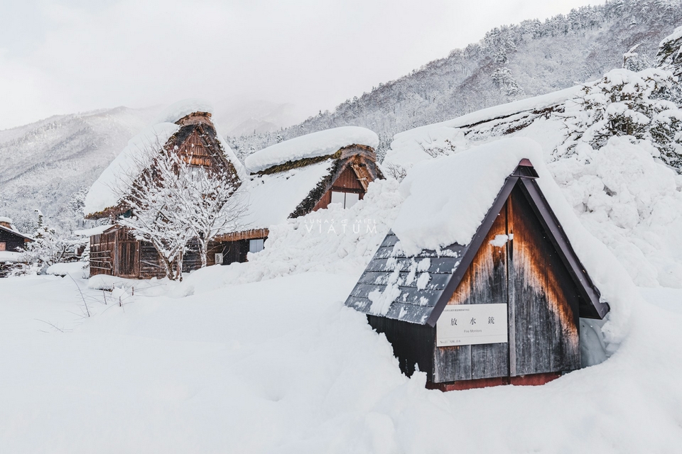 Visita a Shirakawago