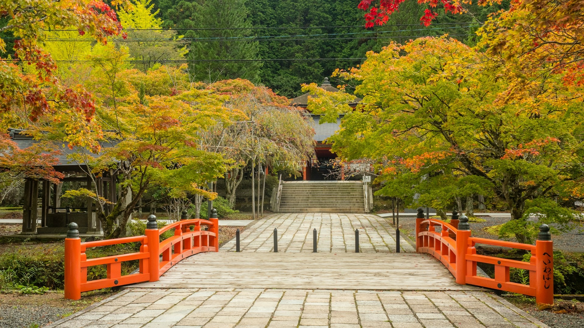 Dia 7: Hiroshima - Koyasan