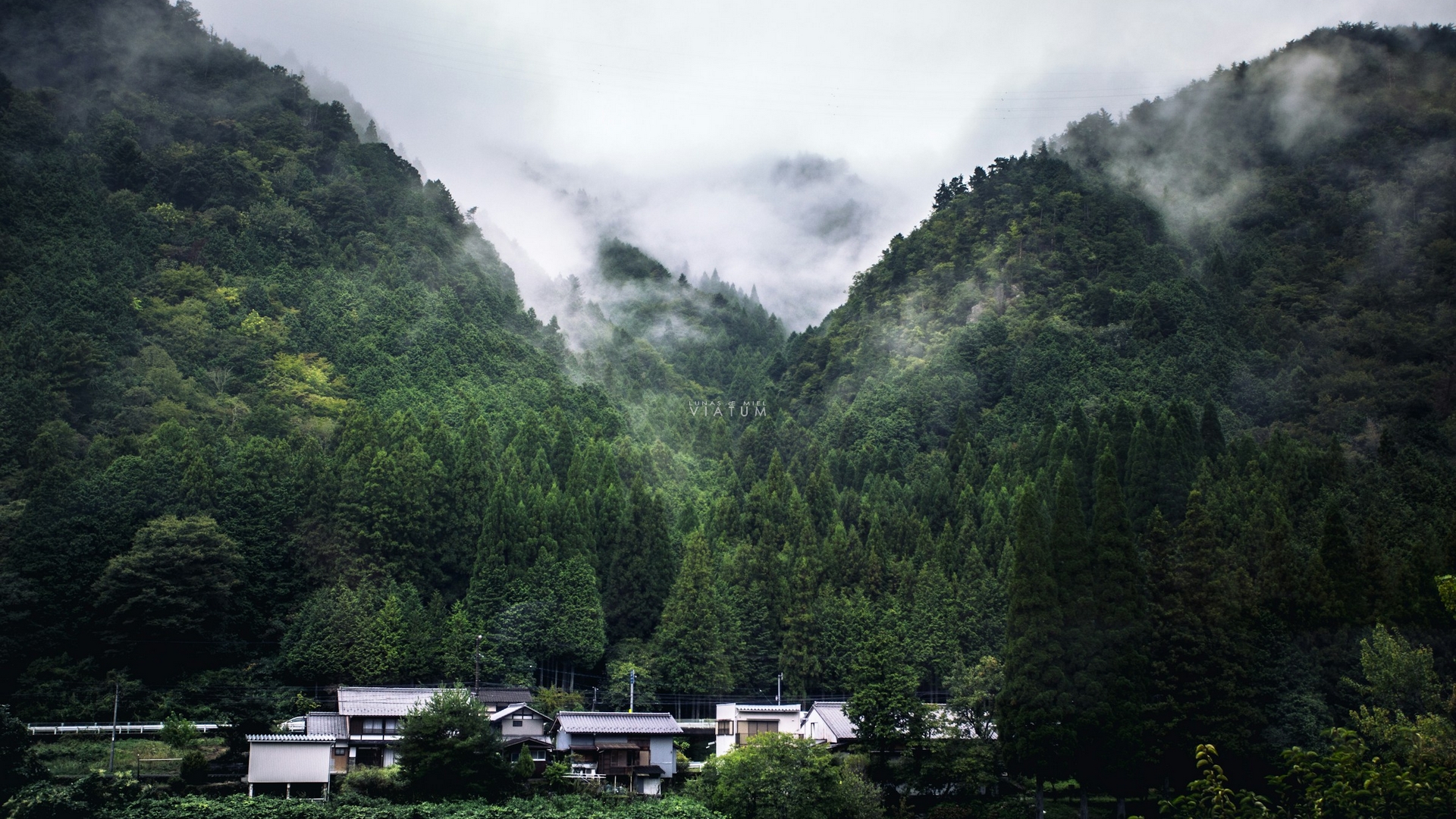 Dia 11: Kanazawa - Shirakawago - Takayama