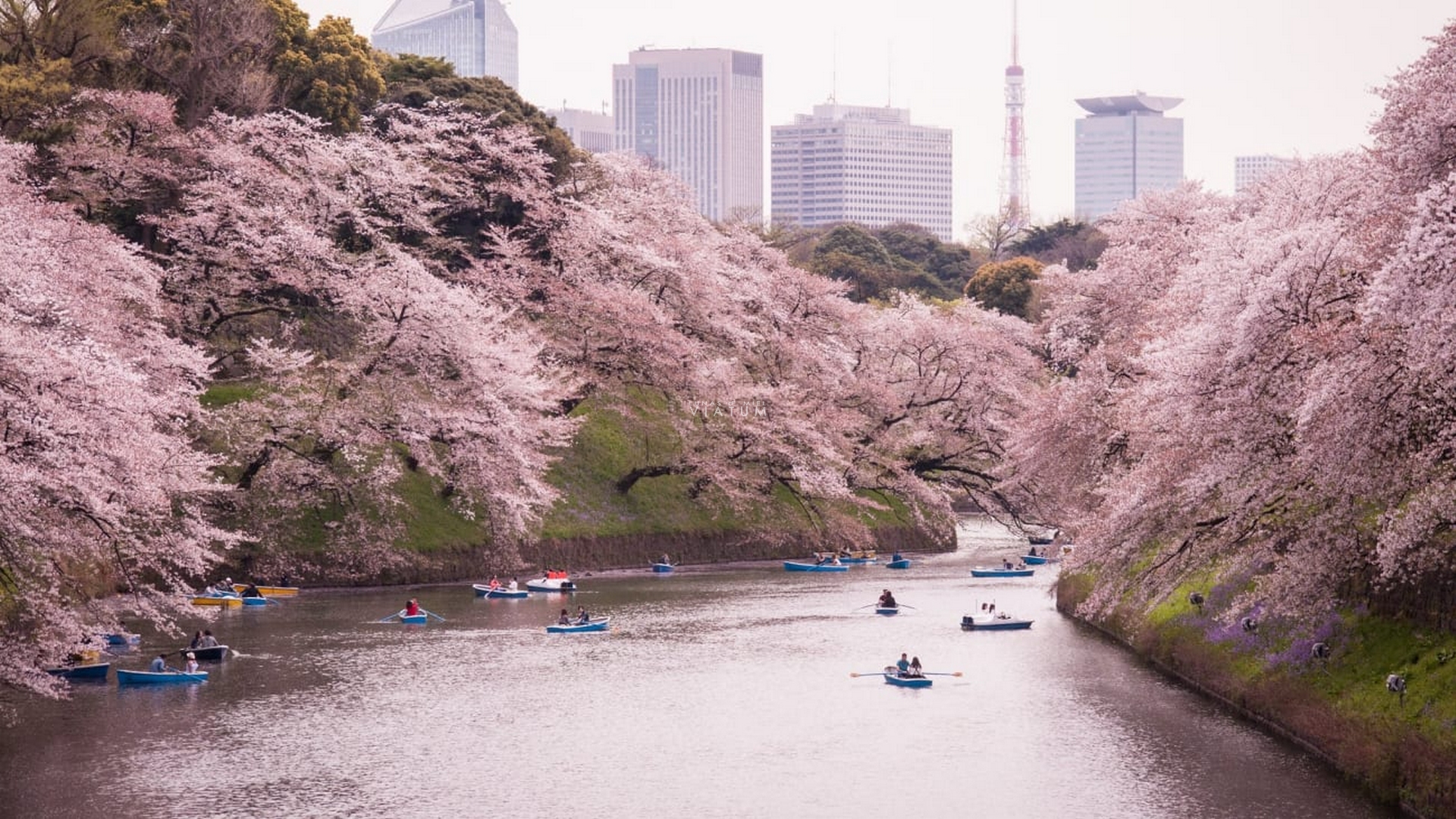 Dia 2: Tokio