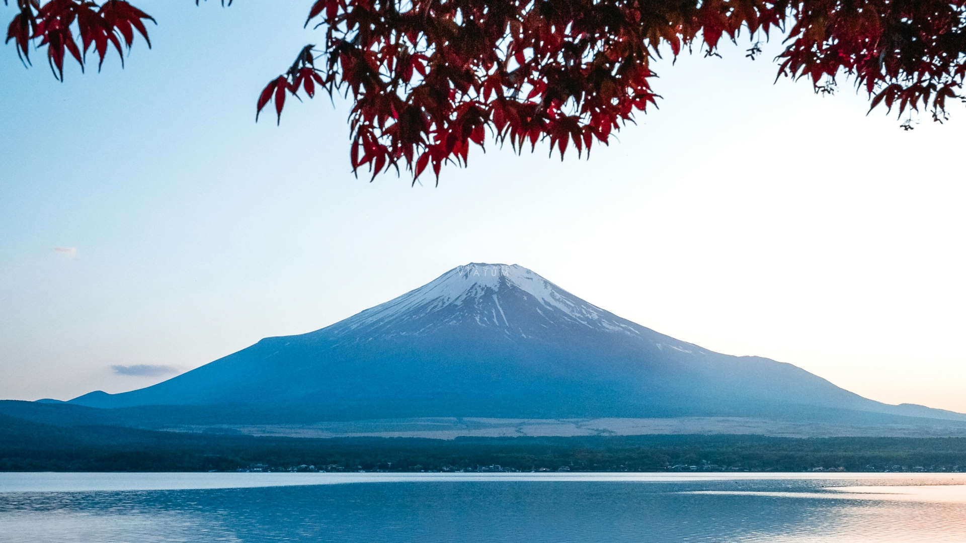 Monte Fuji