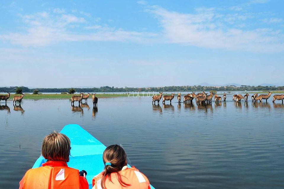 Paseo en Barco en Lago Naivasha