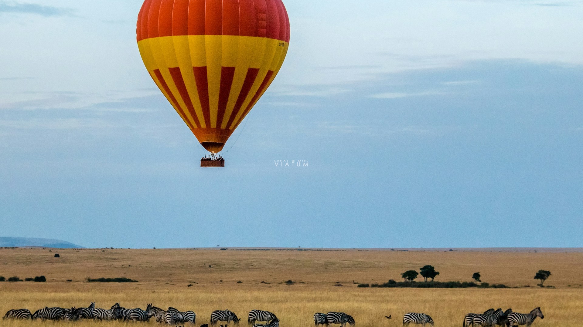 Dia 6: Lago Nakuru - Masai Mara