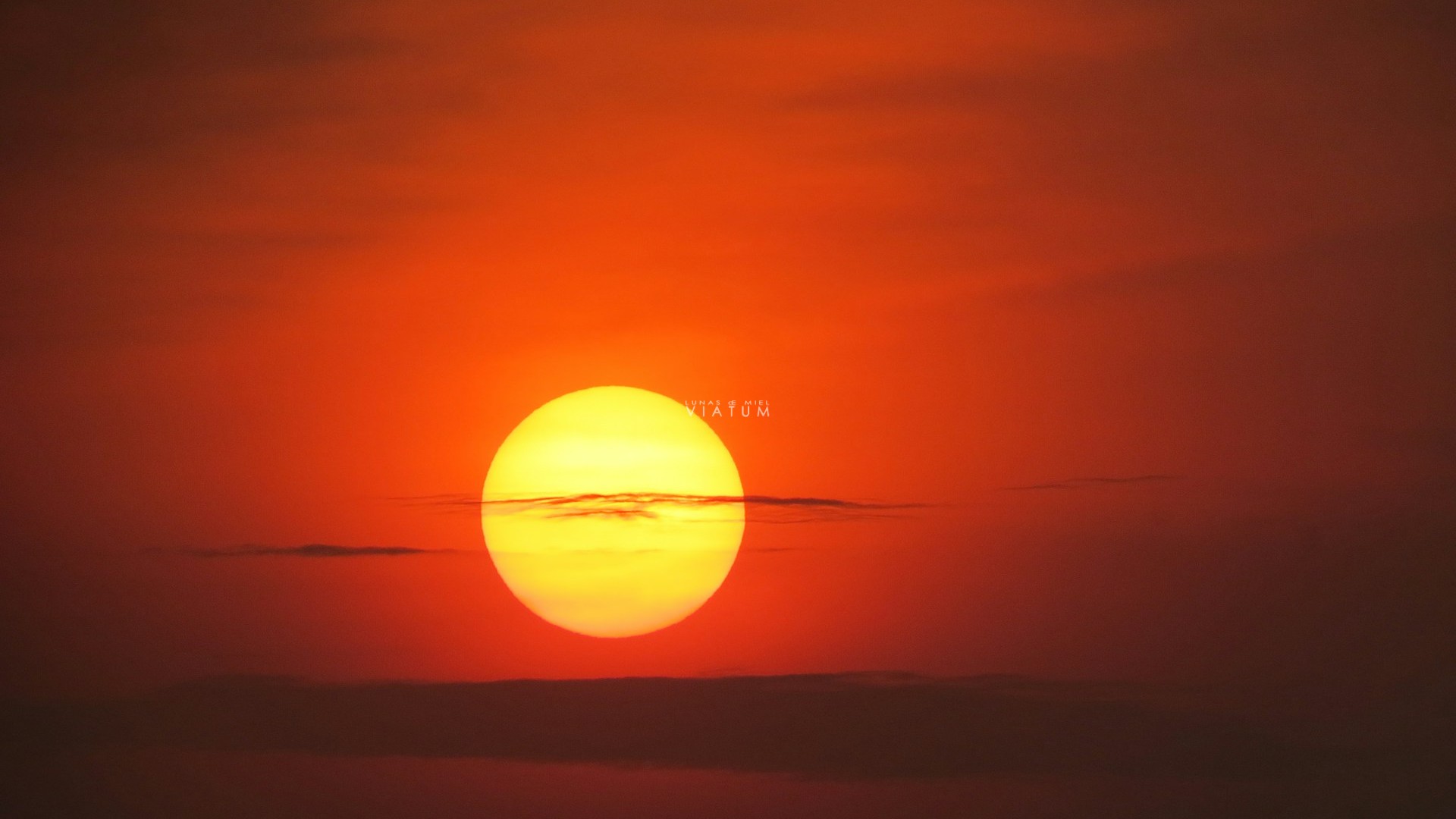 Dia 7: Masai Mara