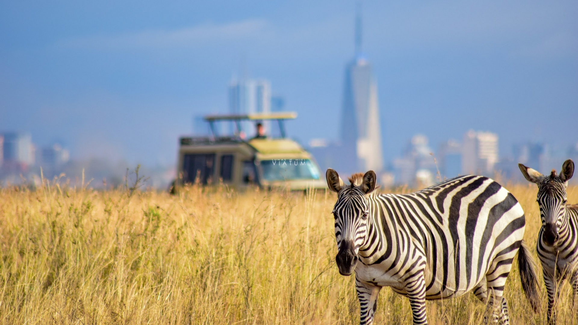 Dia 3: Amboseli - Nairobi