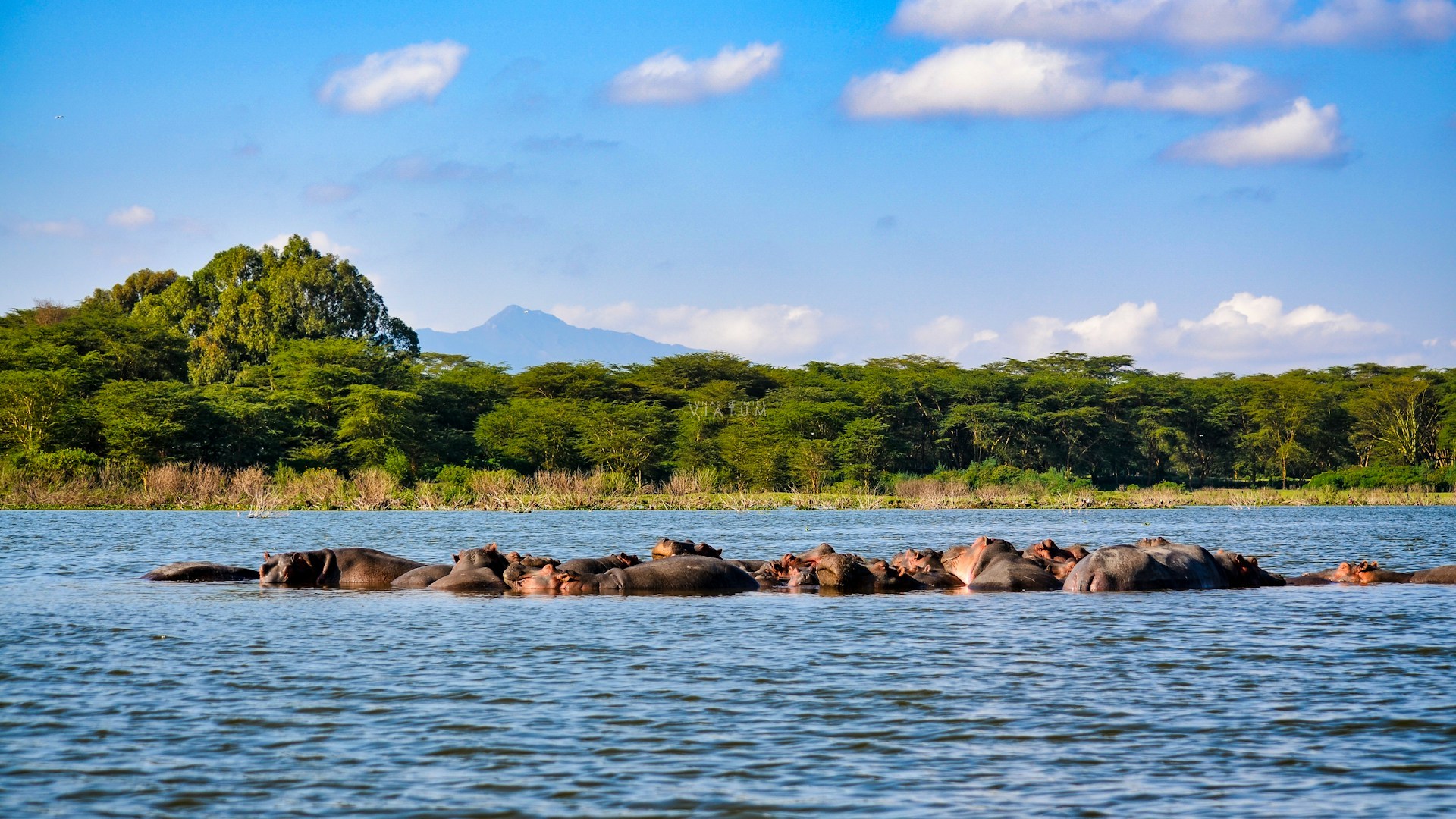 Lago Nakuru