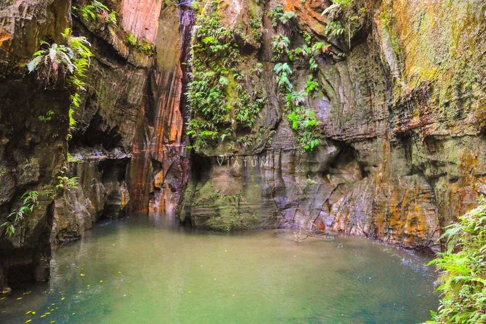 Visita Parque Nacional de Isalo