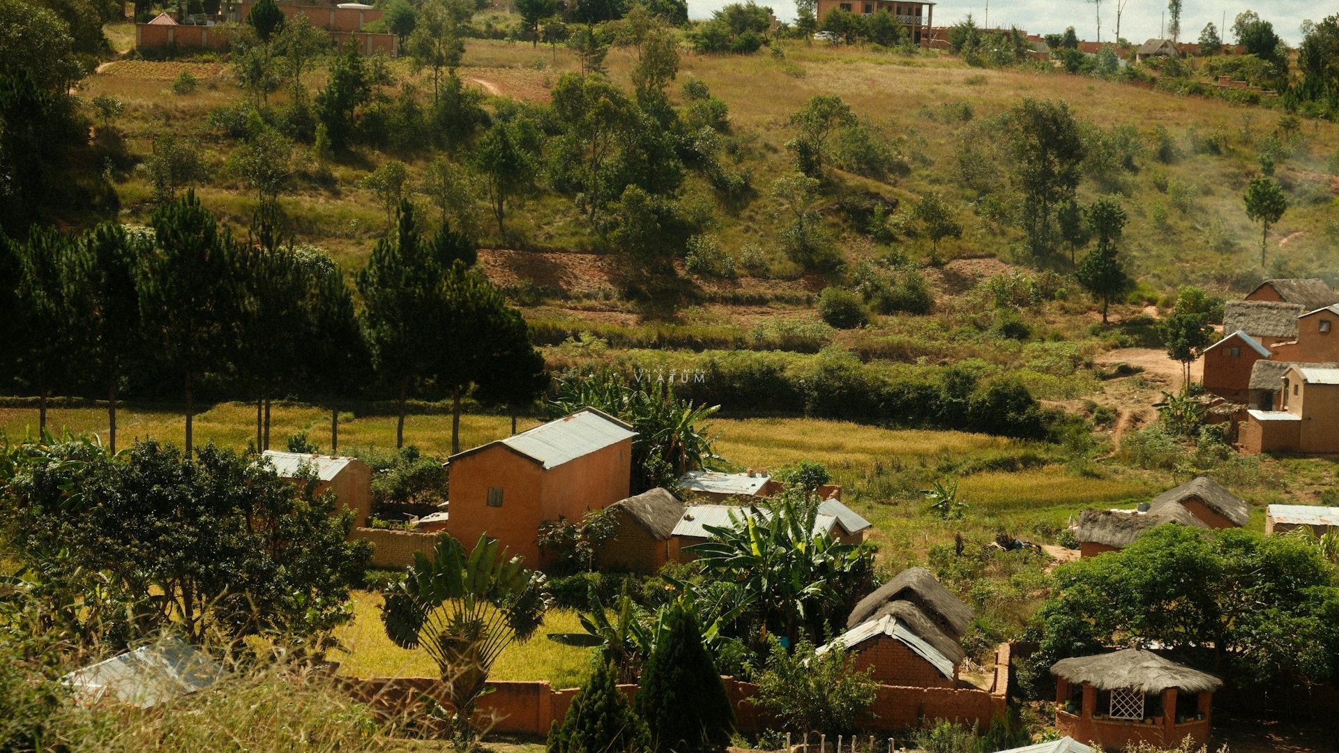 Dia 17: Ifaty - Tulear - Antananarivo