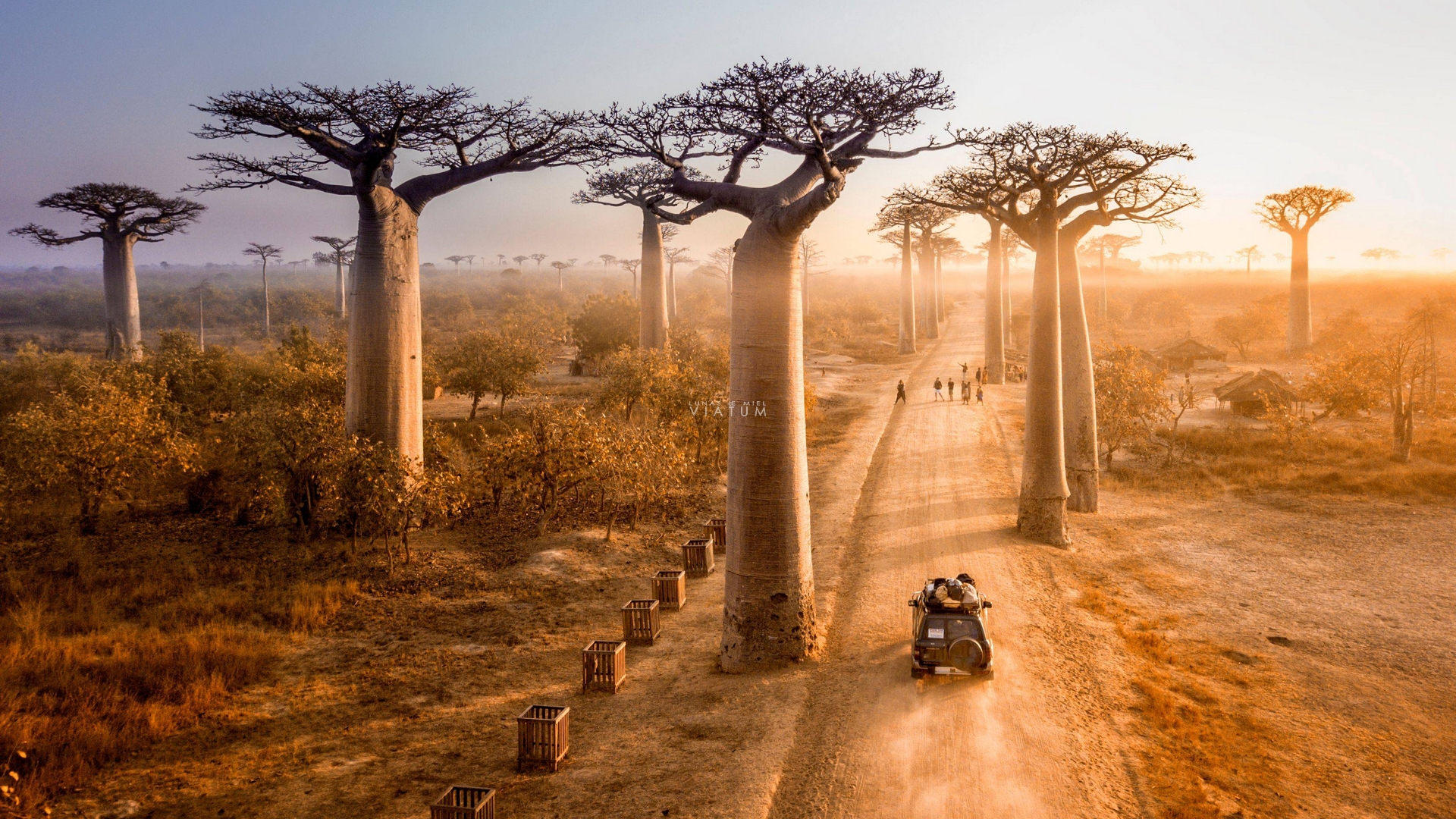 Dia 7: Morondava - Belo Tsiribihina - Bekopaka