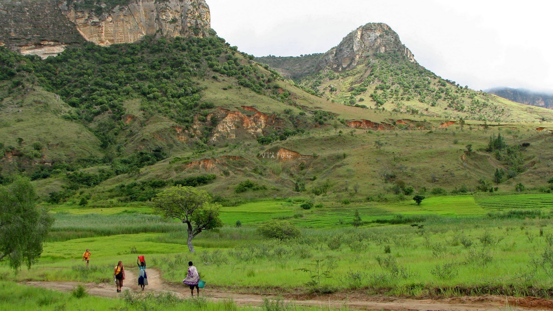 Dia 12: Fianarantsoa - Ambalavao - Ranohira