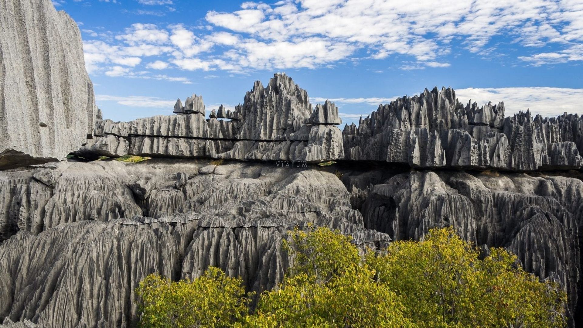 Imagen de Madagascar