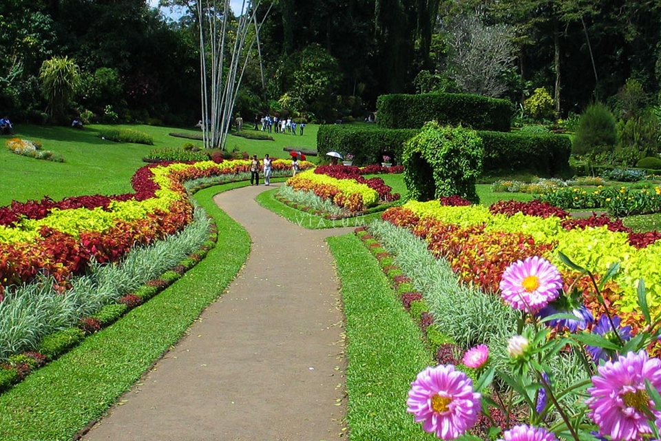 Visita al Jardin Botanico de Peradeniya