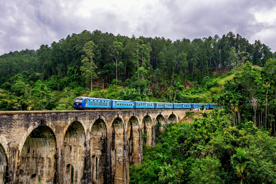 Visita del Tren y el Puente de los Nueve arcos