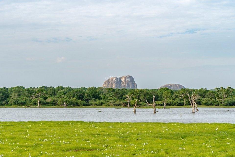 Safari en Parque Nacional de Yala