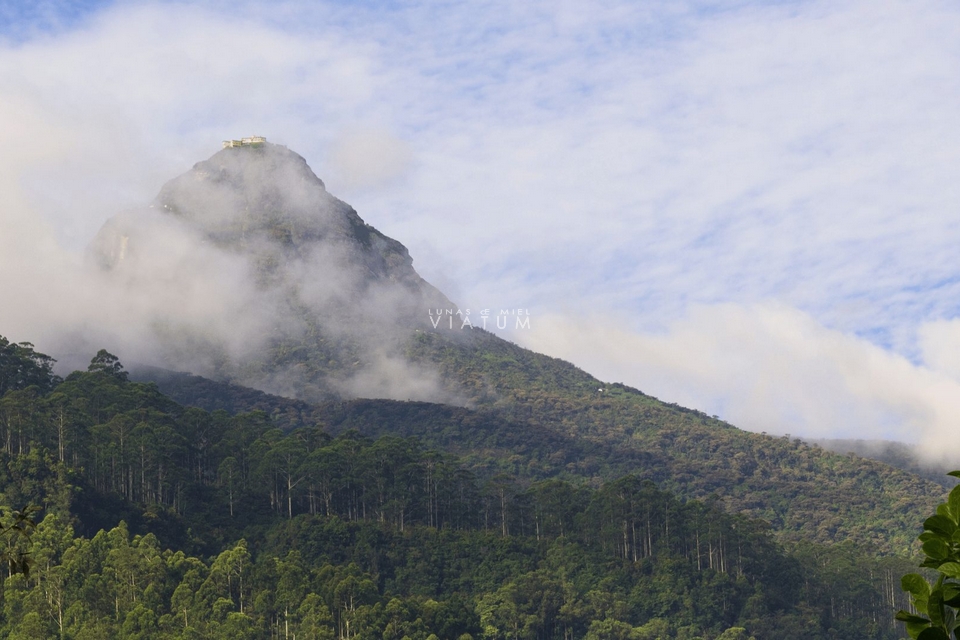 Trekking en Adams Peak