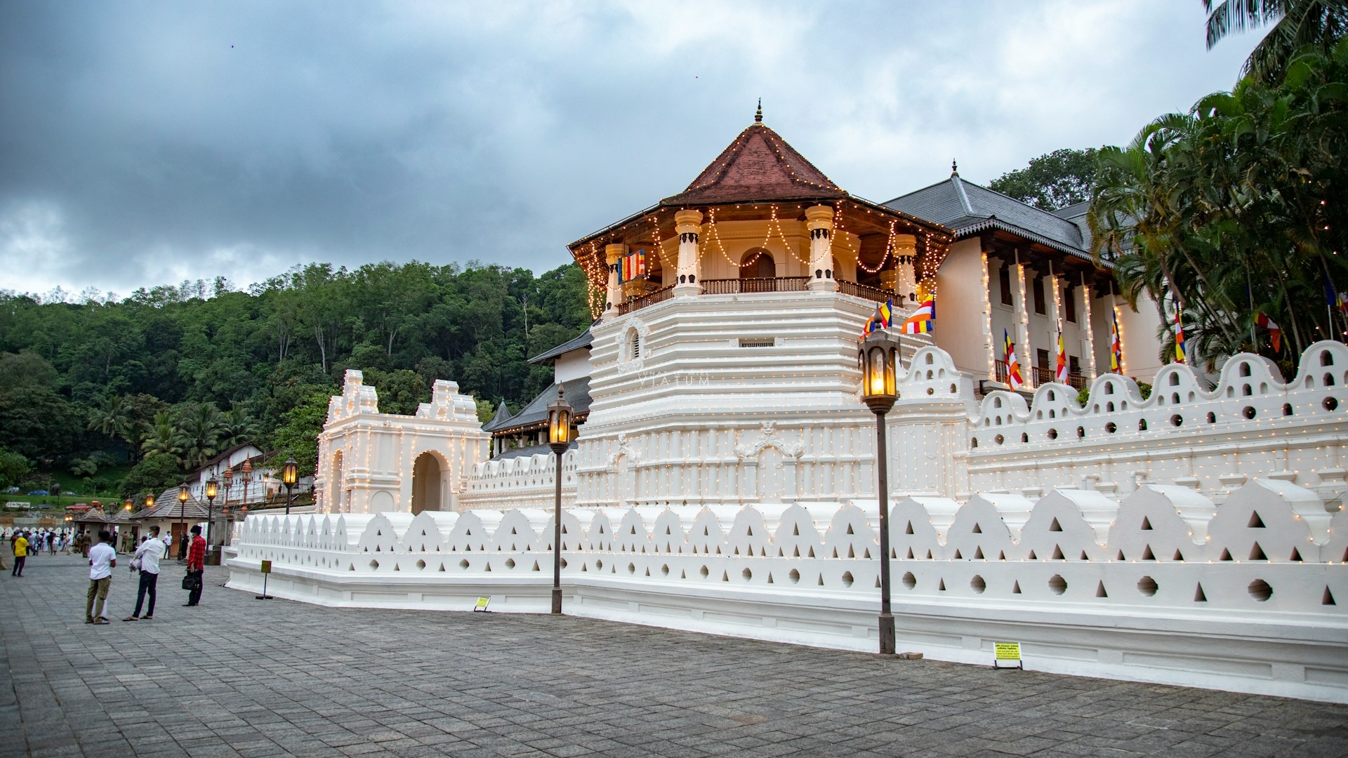 Día 5: Ella – Tren Nanu Oya – Nuwara Eliya - Kandy