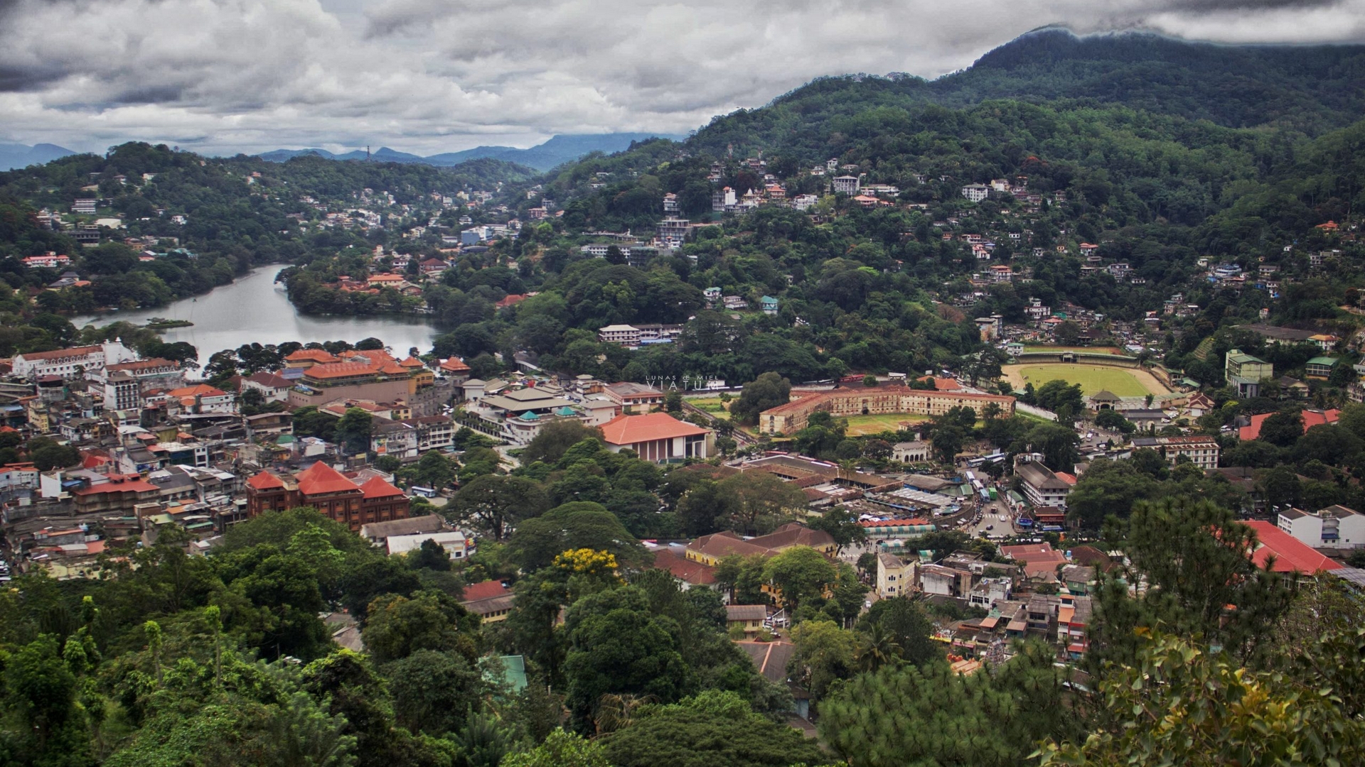 Dia 6: Kandy - Pinnawala - Peradeniya - Kandy