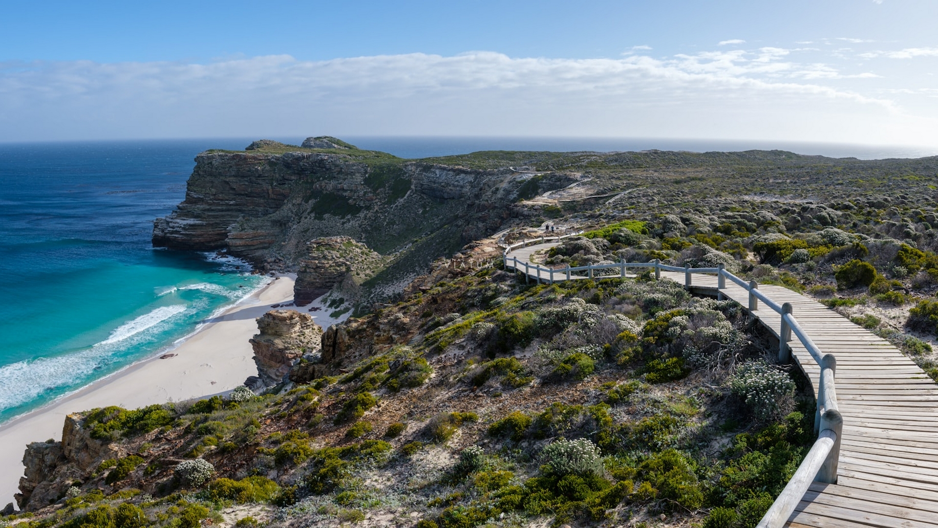 Excursión de día completo a Península del Cabo