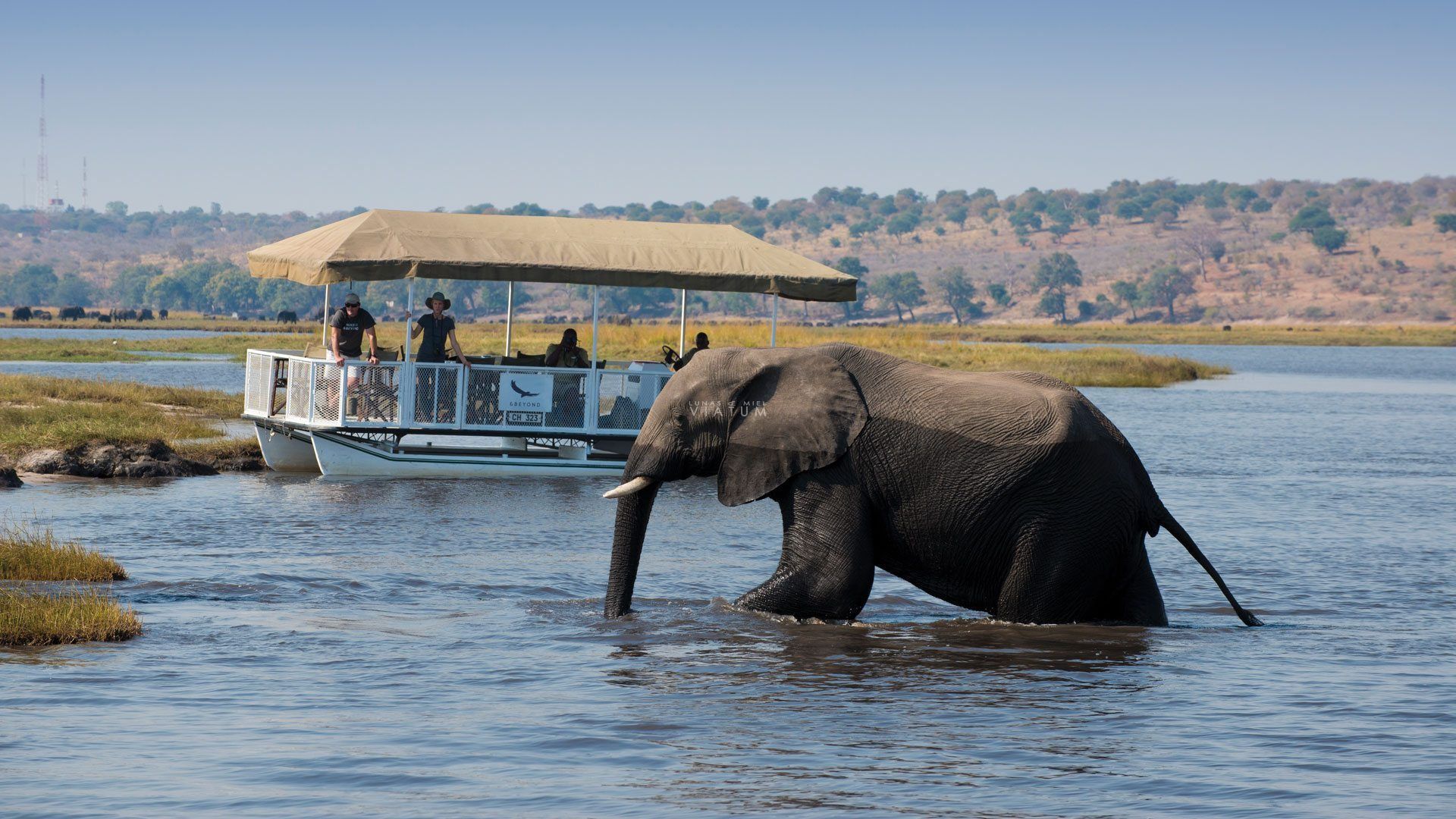 Parque Nacional de Chobe (Botsuana)