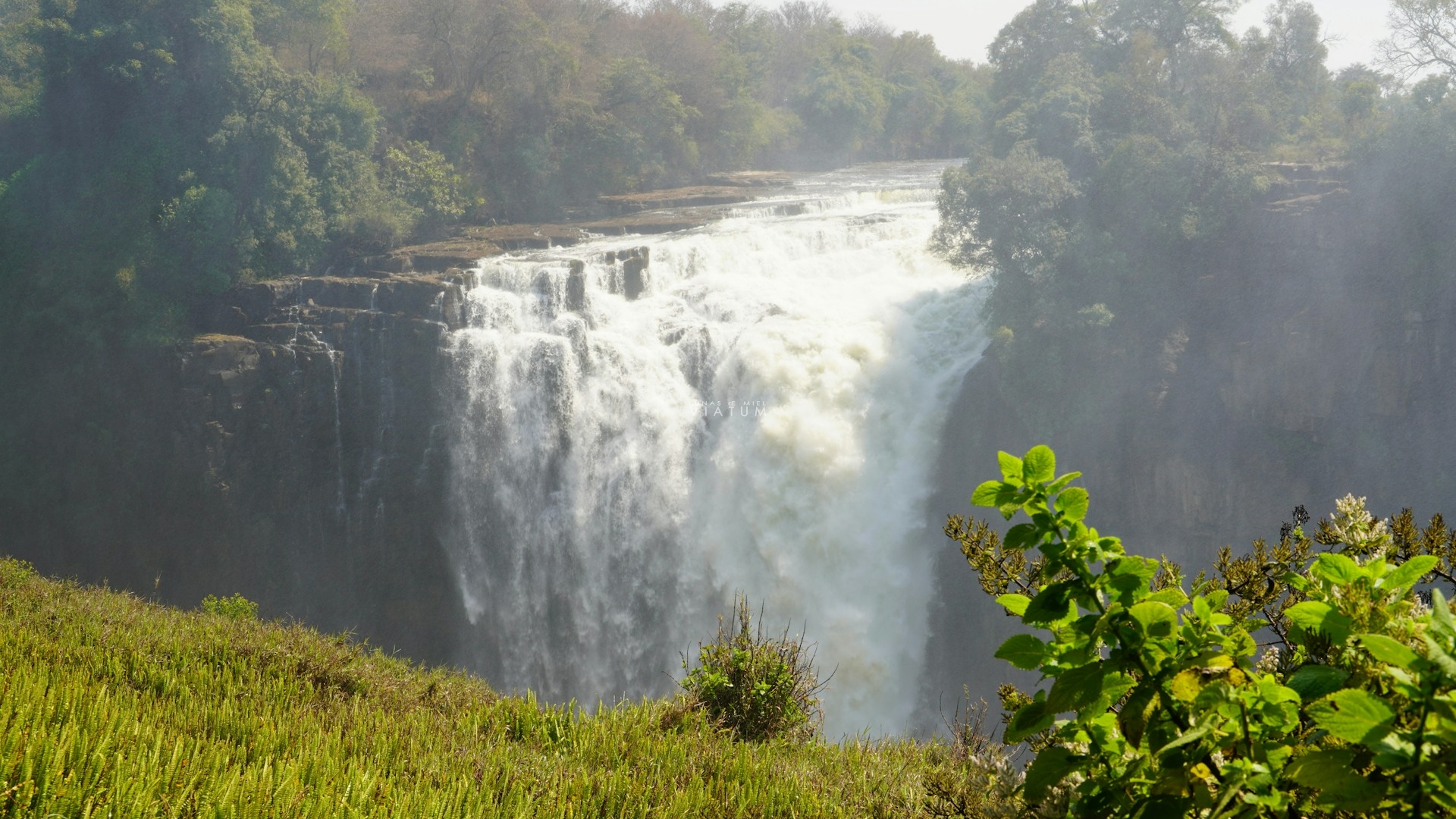 Dia 1: Ciudad de Origen - Cataratas Victoria