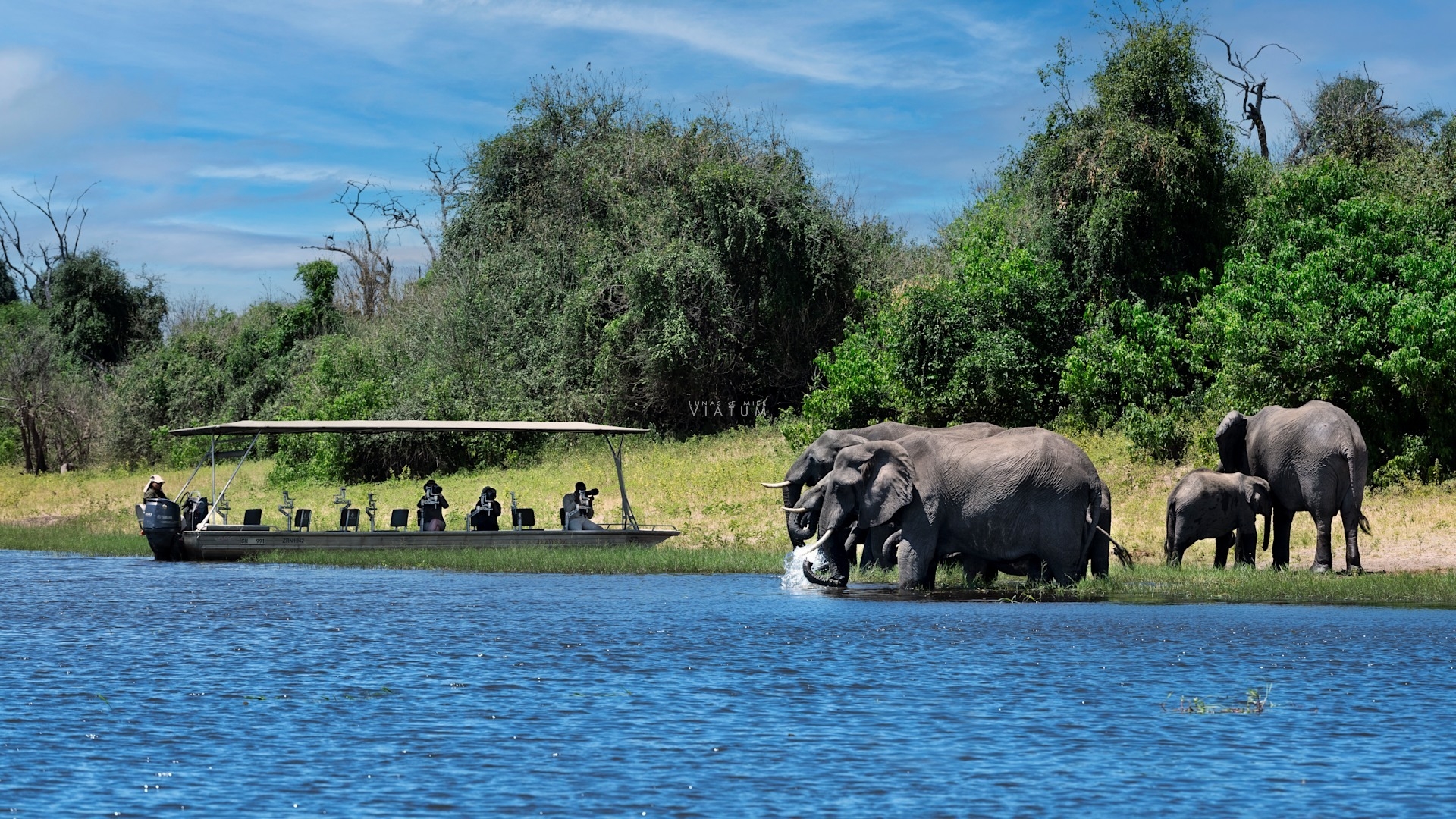 Dia 8: Cataratas Victoria - Chobe - Cataratas Victoria