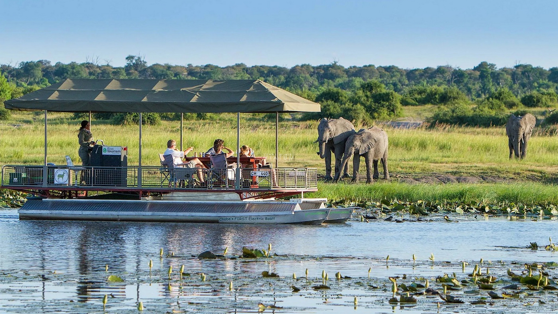 Dia 4: Cataratas Victoria - Chobe - Cataratas Victoria