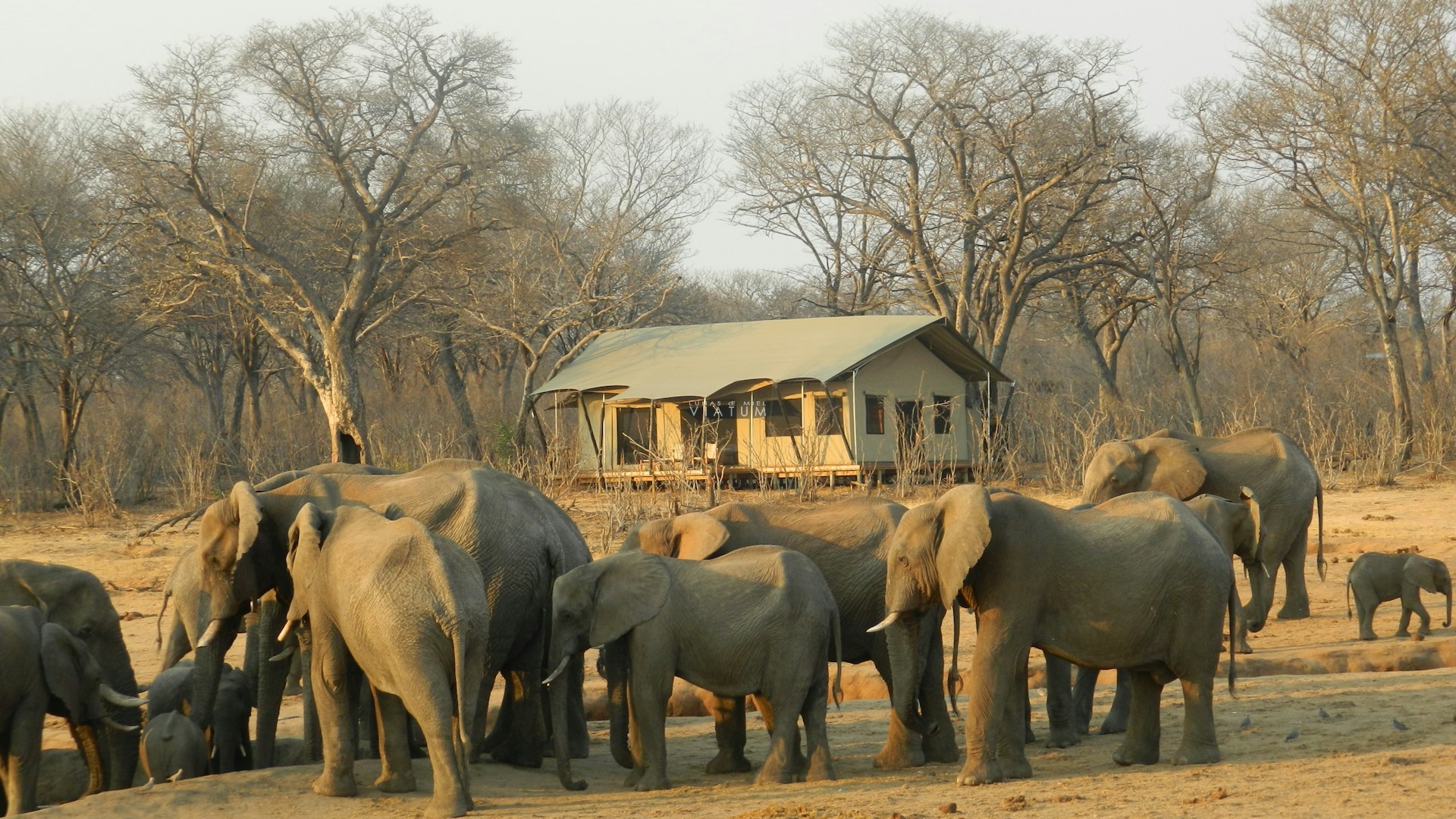 Dia 10: Parque Nacional Hwange