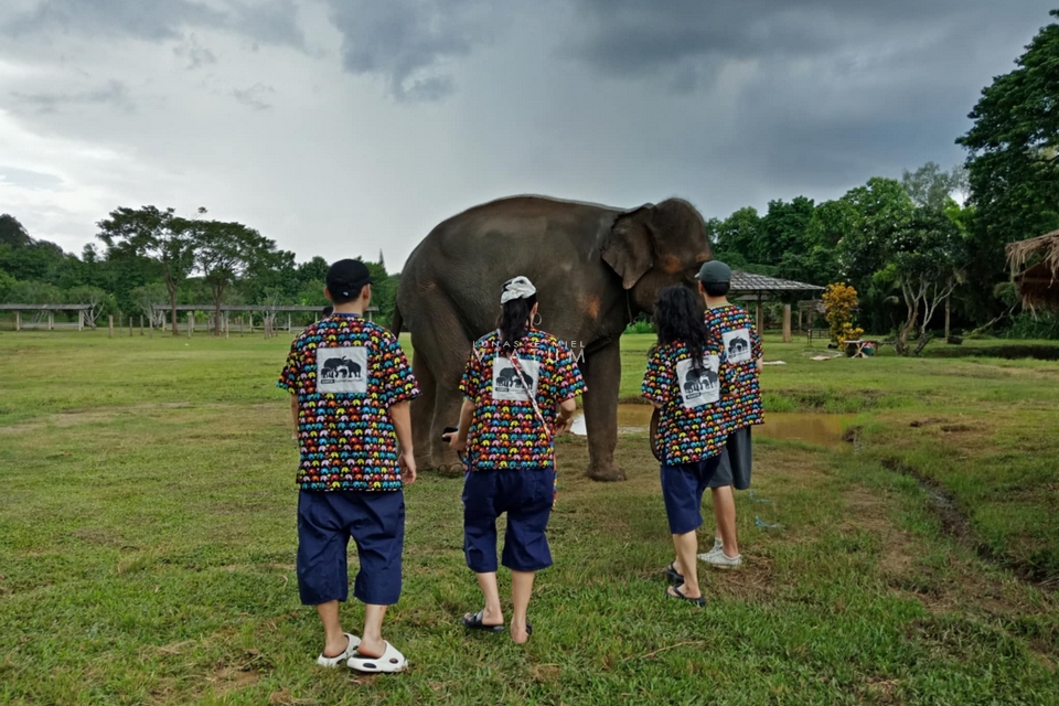 Visita Santuario de Elefantes Kanta