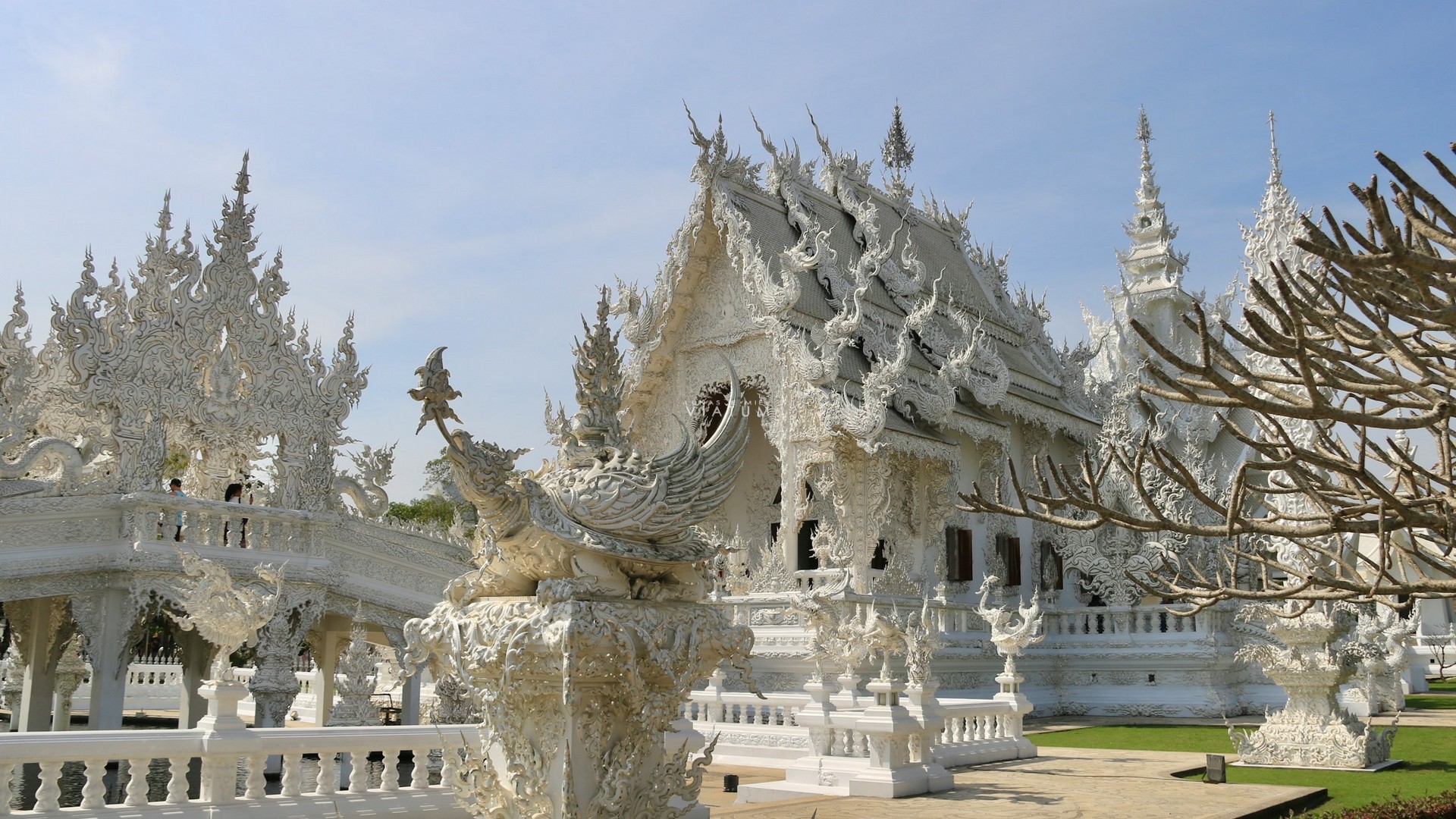 Dia 7: Chiang Rai