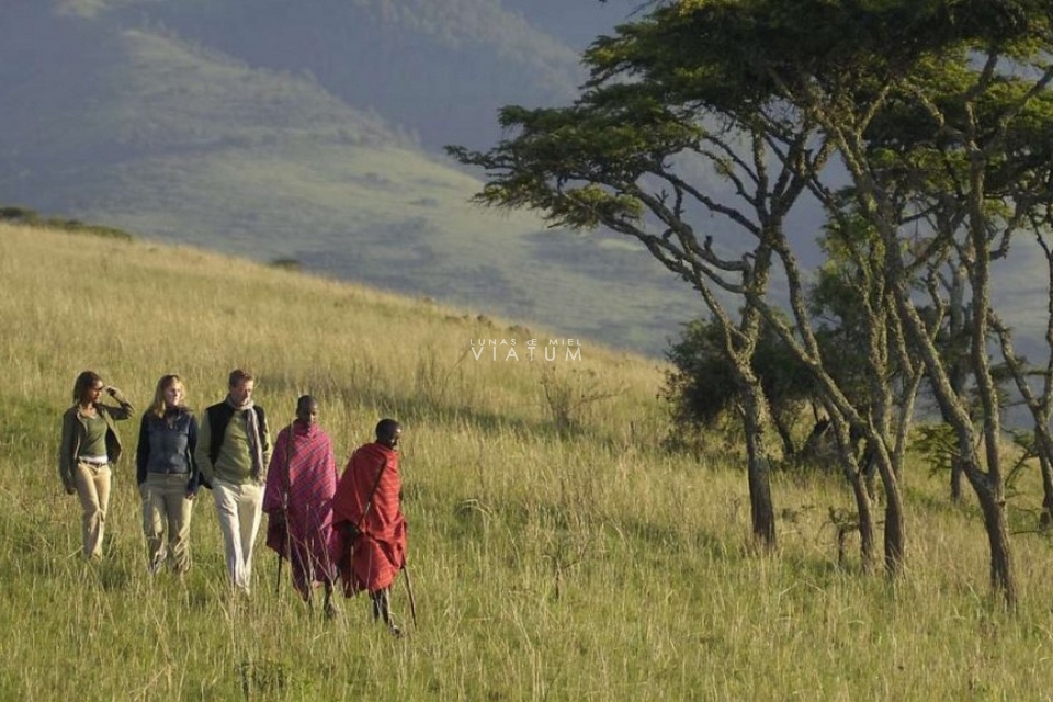 Safari a Pie en Área de Conservación de Ngorongoro