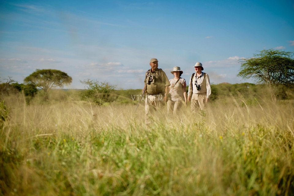 Safari a Pie en Área de Conservación de Ngorongoro