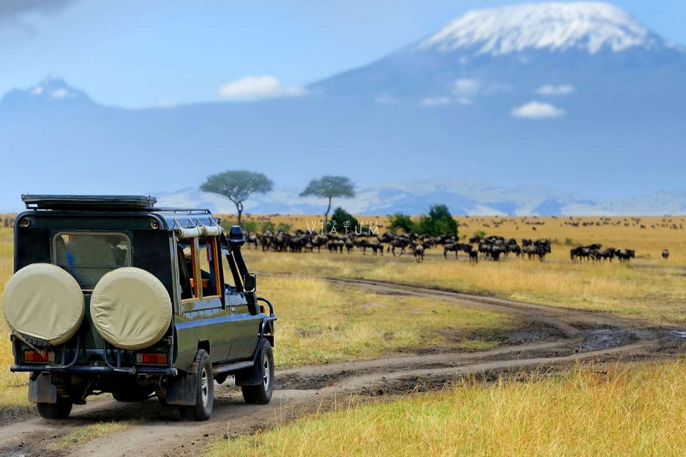 Safari en Parque Nacional de Serengeti