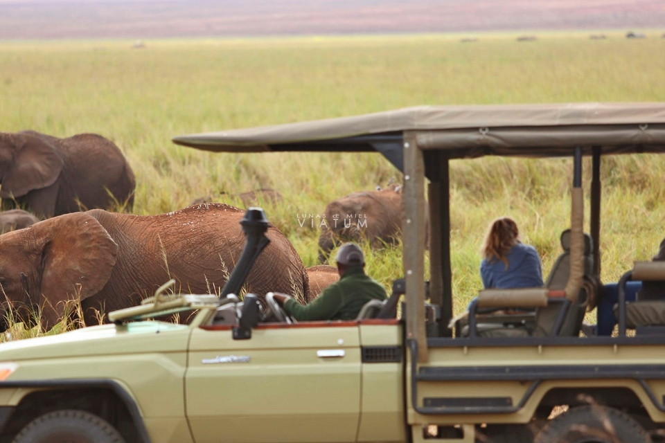 Safari Parque Nacional de Tarangire