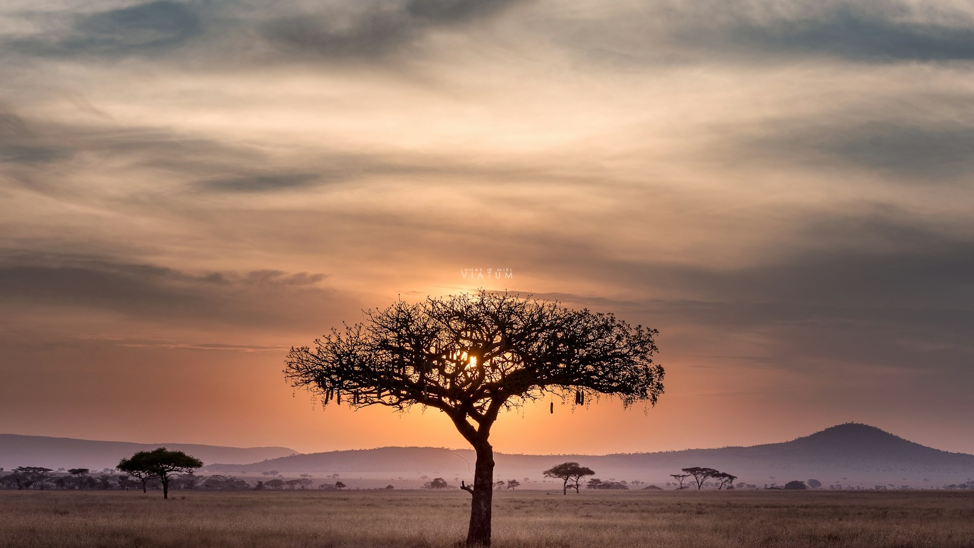 Dia 6: Serengeti - Ngorongoro - Karatu