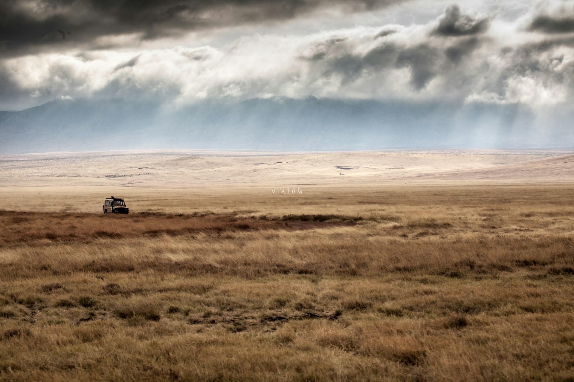 Dia 6: Serengeti - Ngorongoro - Karatu