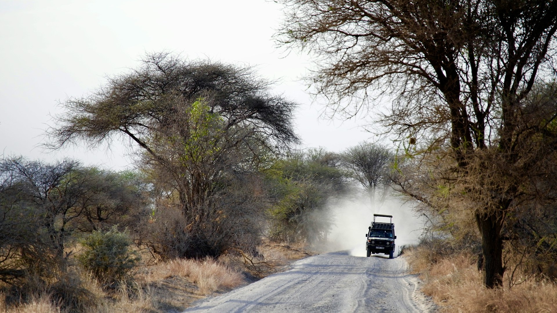 Dia 3: Arusha - Tarangire